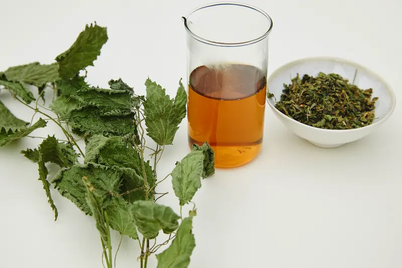 LA PLANTE MIRACLE SOUS-ESTIMEE
