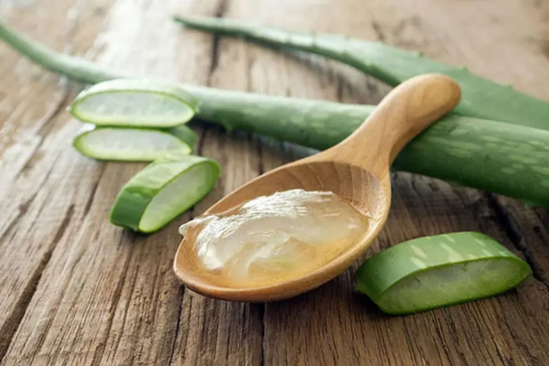 Les bienfaits de l'aloe vera bio, pour les cheveux